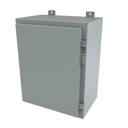 Hammond 1418C10LP Type 4/12 wallmount enclosure