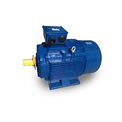 Teco Westinghouse MP0016 1 HP MAX-IE3 TEFC Electric Motor